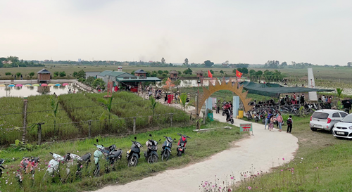 Thái Bình: Hồng Giang Garden, mô hình sinh thái từ làng lúa đến làng hoa làm giàu đẹp quê hương